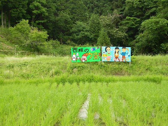 6月20日の田んぼ(月光原小・西根小)_d0247484_14445488.jpg