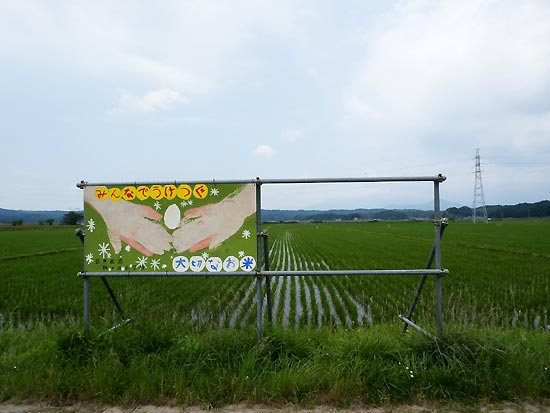 6月20日の田んぼ(緑ヶ丘小・北郷小)_d0247484_16303410.jpg