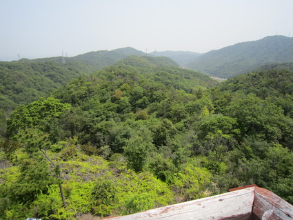 f0053885_2192493.jpg