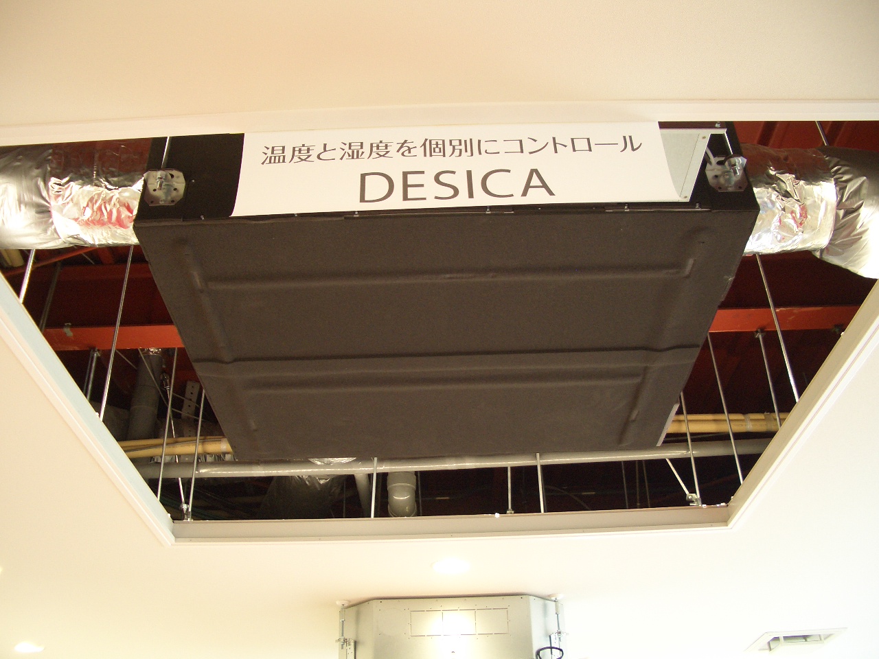 c0104793_137029.jpg