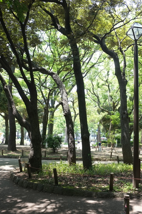 真昼の横浜公園_b0273795_13344055.jpg