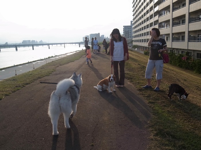 c0049299_21391760.jpg