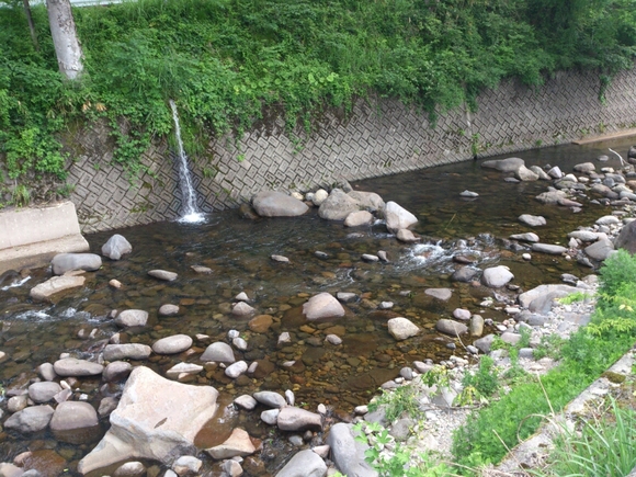 f0266202_21221736.jpg