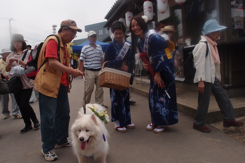 潮来あやめまつり　６月２１日　[土]_e0018604_1942461.jpg