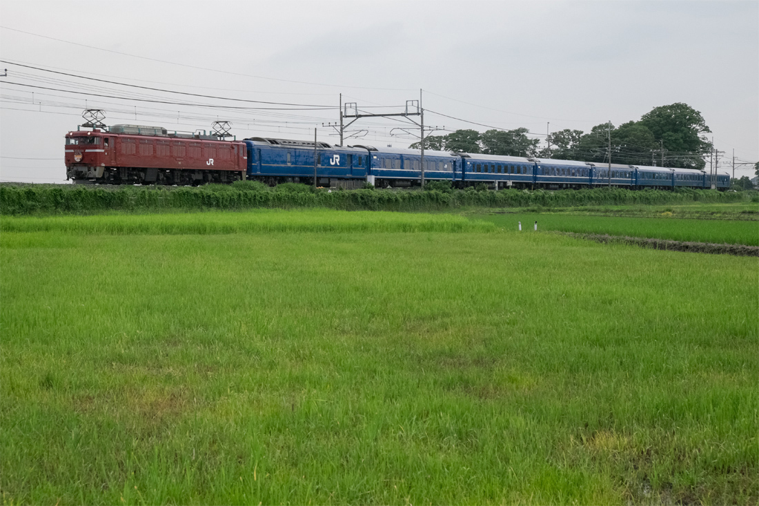 b0221605_8111783.jpg