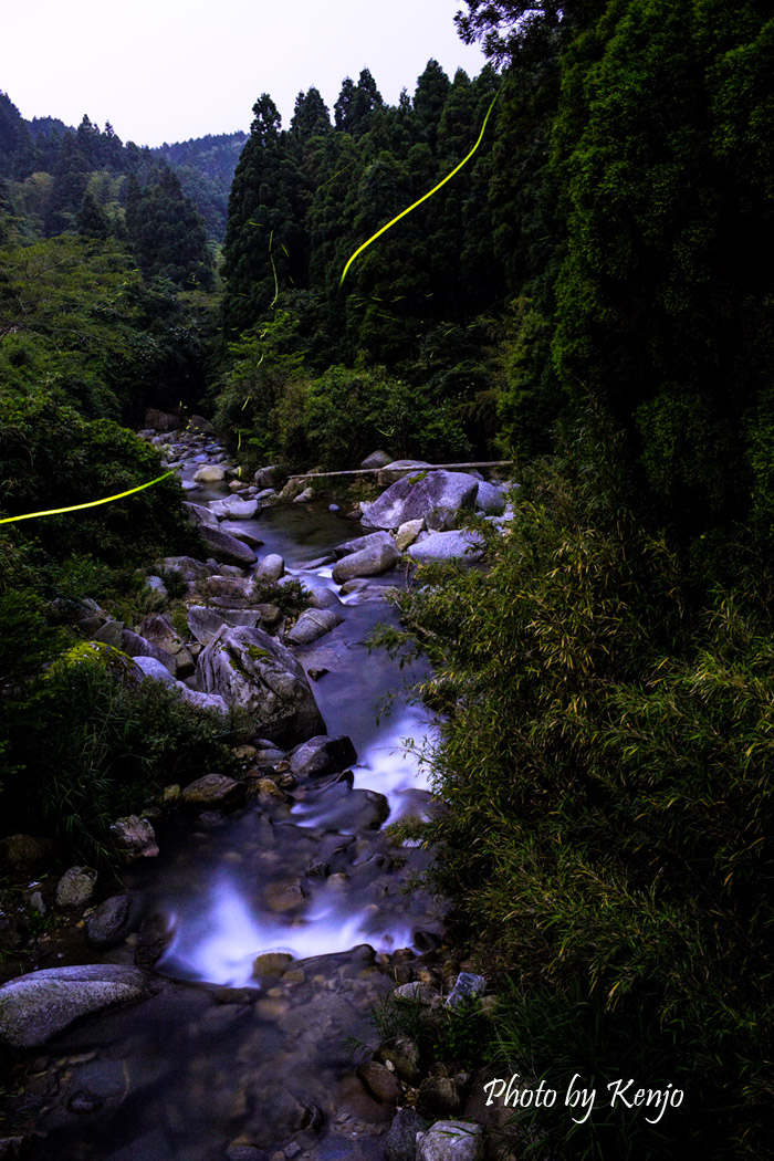 a0097006_0503193.jpg