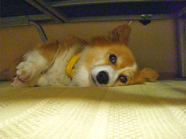 f0329311_00364.jpg