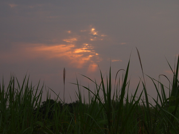 d0048812_1163969.jpg