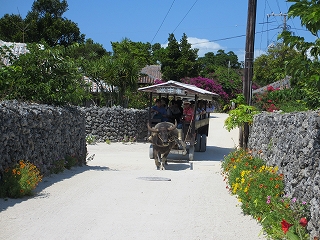 d0224712_1132054.jpg