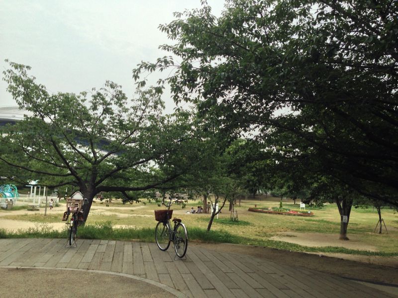 八幡屋公園_a0098418_12254397.jpg