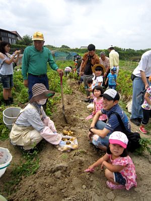 ジャガイモ収穫体験初日_d0120421_1815578.jpg