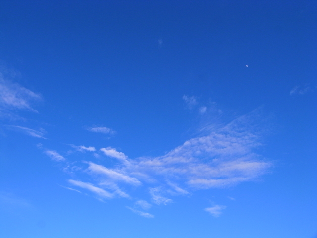 青空に乾杯～☆夕涼みのエビスビール_f0209122_1545588.jpg