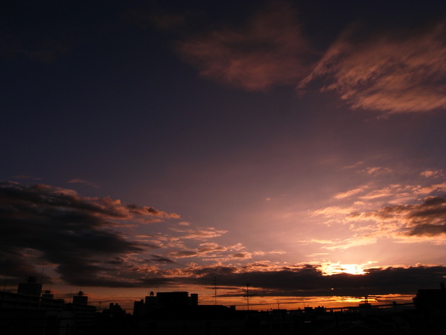 青空に乾杯～☆夕涼みのエビスビール_f0209122_15541158.jpg