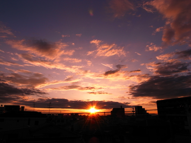 青空に乾杯～☆夕涼みのエビスビール_f0209122_15563161.jpg