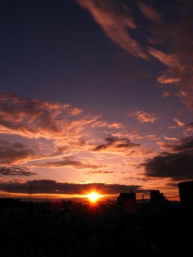 青空に乾杯～☆夕涼みのエビスビール_f0209122_15571577.jpg