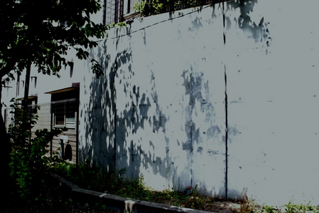 a0318033_003783.jpg