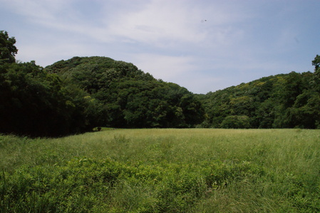a0318033_0315746.jpg