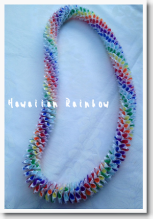 Hawaiian rainbow ～ ﾊﾜｲｱﾝﾚｲﾝﾎﾞｰ～_a0219536_7143056.png