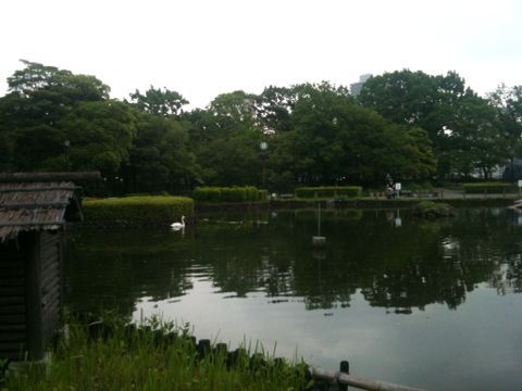 荒川自然公園(荒川区)(6月21日)_e0213636_14461544.jpg