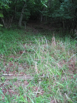 小雨降る、耶馬渓　檜原山（７３５ｍ）、大平山（５９７ｍ）を２座　_c0077338_19451171.jpg