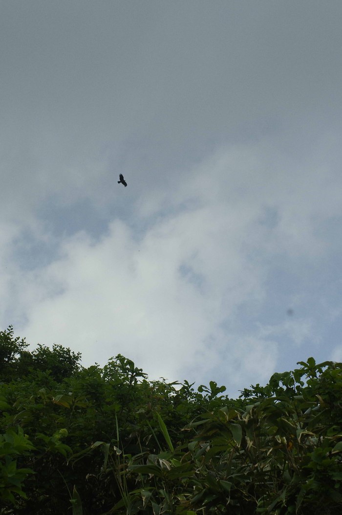 d0237340_200105.jpg