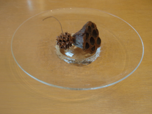 アキノヨーコガラス展 始まりました(6/20)_b0132442_16303482.jpg