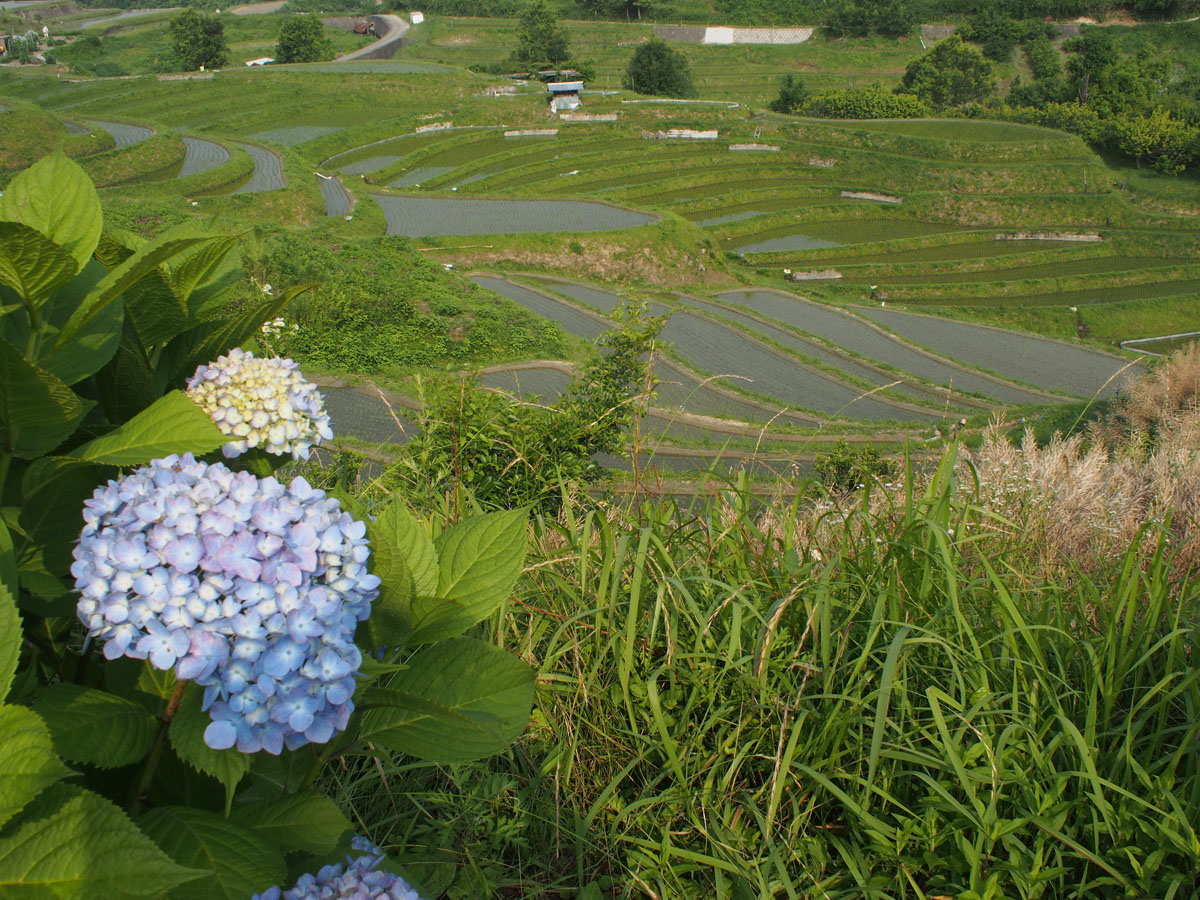 雨が降りそう。_c0174942_10384677.jpg