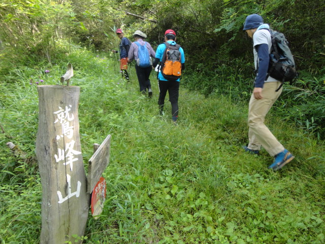 第10回記念 登山部報告_b0211845_14555783.jpg