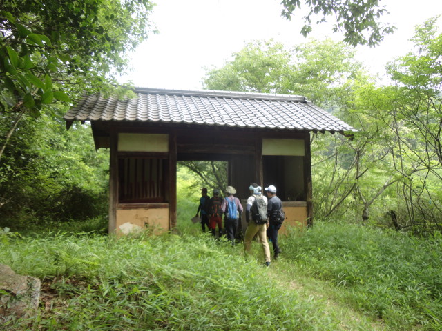 第10回記念 登山部報告_b0211845_1522539.jpg