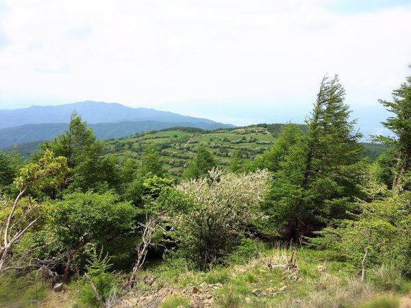 アルプスウォーク@入笠山_e0292546_31951.jpg