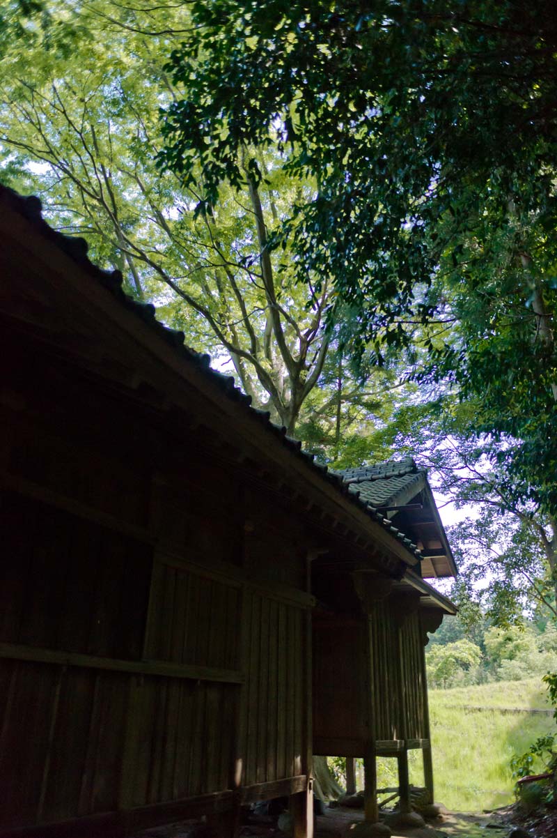 春日神社　福岡県糸島市二丈福井_b0023047_04154354.jpg