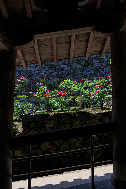 ぼたん寺（長谷寺）　前編_f0155048_219614.jpg