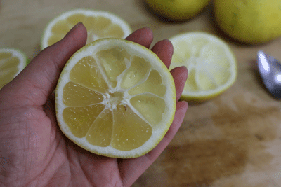 e0010353_23333316.gif