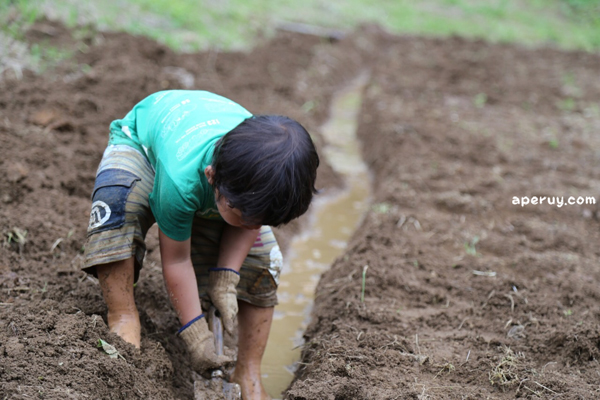 一生懸命な姿はかっこいい 森のようちえん あぺるい