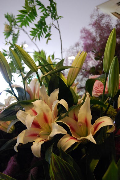 今日のお花たち_a0201358_13234983.jpg
