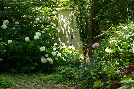 d0083761_19222898.jpg