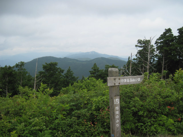 2014.6.21　中津峰山_c0219866_14483734.jpg