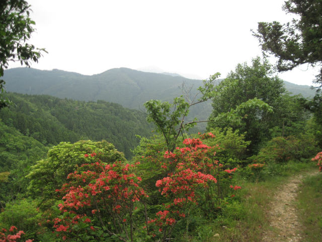 c0219866_14502471.jpg