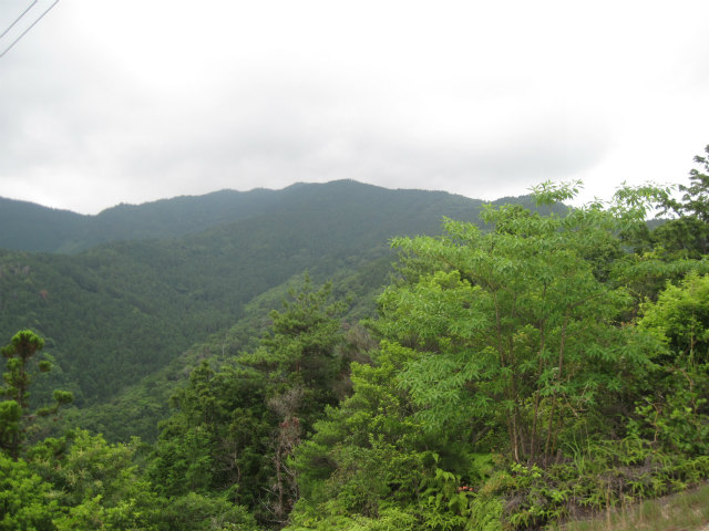 c0219866_1454561.jpg