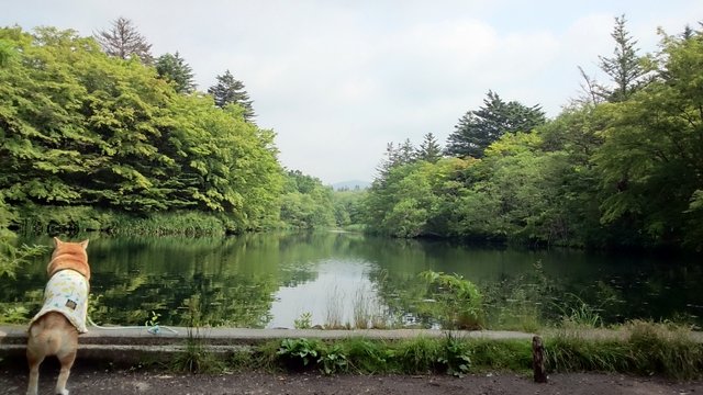b0274270_11451340.jpg