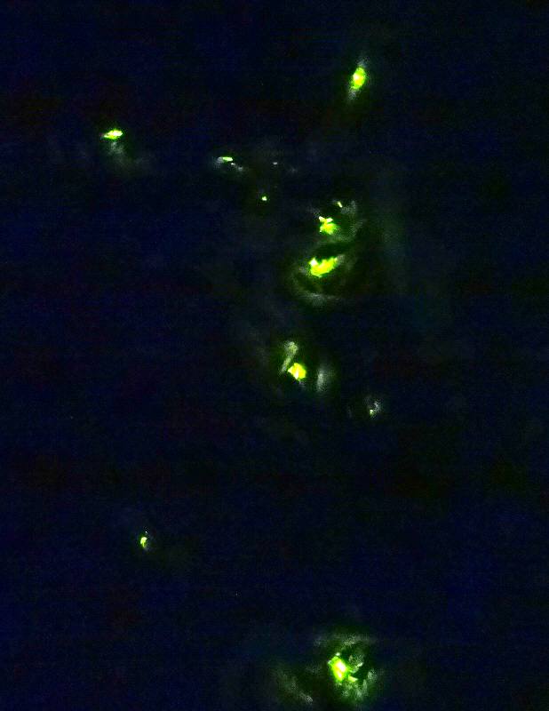 f0059673_232599.jpg