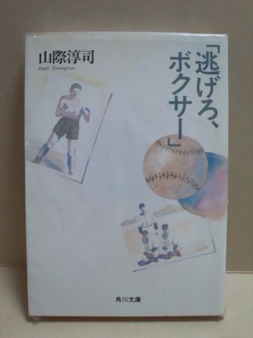 とある企業のブログ 6_b0229277_15342181.jpg