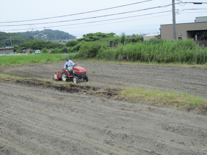 f0053885_2031049.jpg
