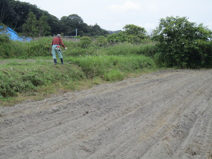 f0053885_20312654.jpg