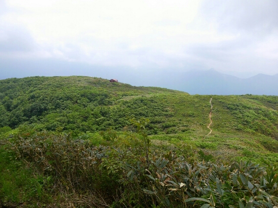 d0182188_17522239.jpg