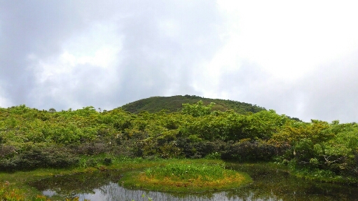 d0182188_1753599.jpg
