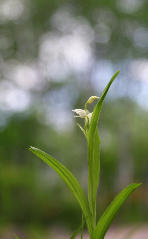 f0000789_9442789.jpg