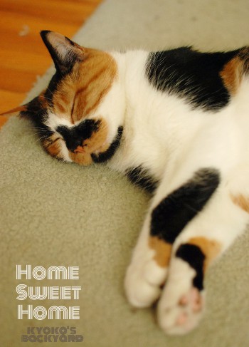 Home Sweet Home_b0253205_130026.jpg