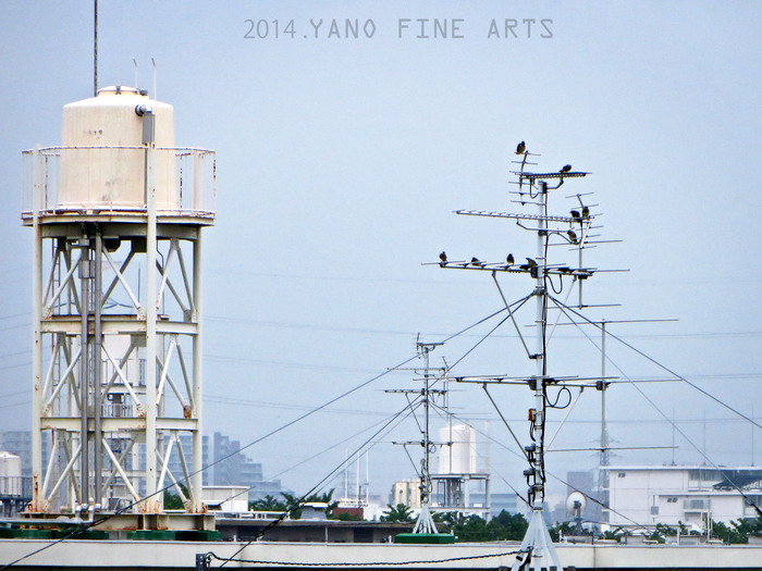 b0147808_17215134.jpg