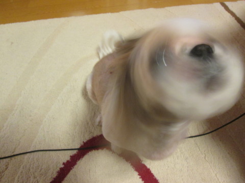 b0292308_18510086.jpg